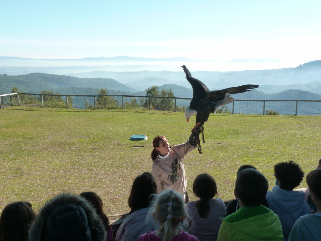 No s'ha trobat l'arxiu